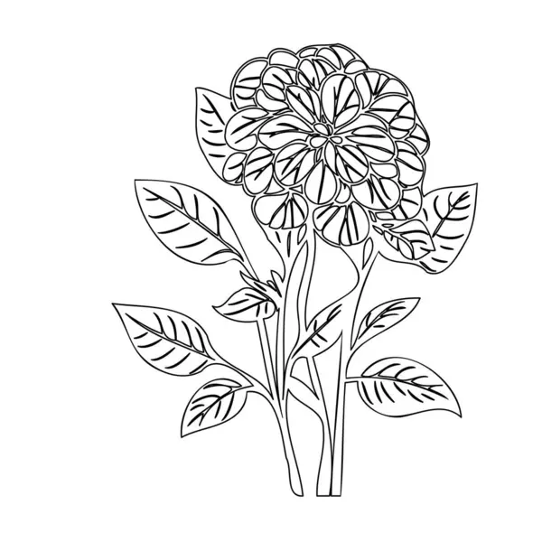 Stock vector Hydrangea flower plant illustration sketch outline element