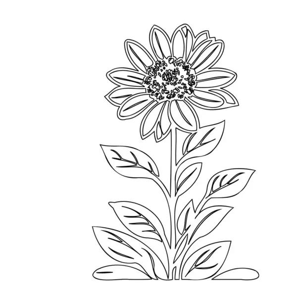 Stock vector Zinnia flower plant illustration sketch outline element