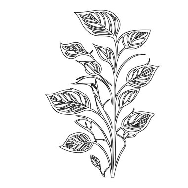 Morning Glory flower plant illustration sketch outline element clipart