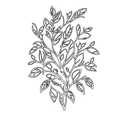 Wisteria flower plant illustration sketch outline element clipart