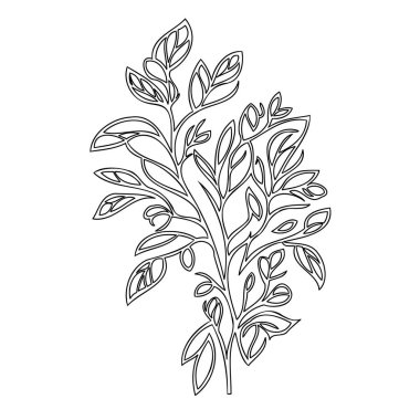 Wisteria flower plant illustration sketch outline element clipart