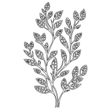 Wisteria flower plant illustration sketch outline element clipart