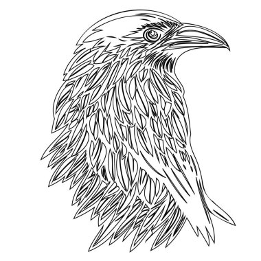 Raven or Crow illustration outline element sketch clipart