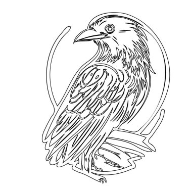 Raven or Crow illustration outline element sketch