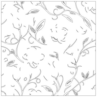 ylang ylang Flower illustration outline pattern element sketch clipart