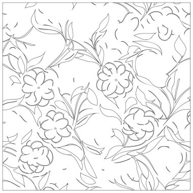 ylang ylang Flower illustration outline pattern element sketch clipart