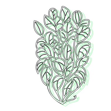 Wisteria flower plant illustration sketch outline shadow green element clipart