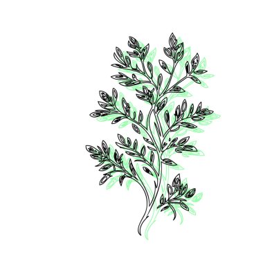 Wisteria flower plant illustration sketch outline shadow green element clipart