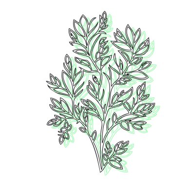 Wisteria flower plant illustration sketch outline shadow green element clipart