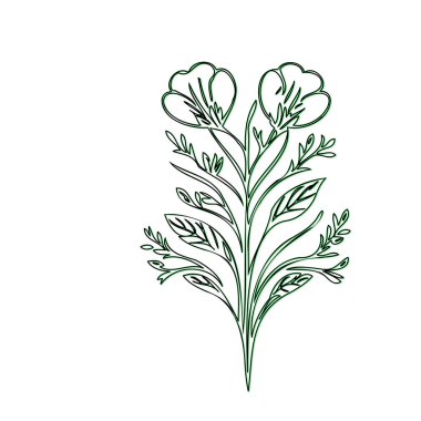 Bleeding Heart flower plant illustration sketch outline shadow green element clipart