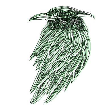 Raven or Crow illustration outline element sketch green clipart