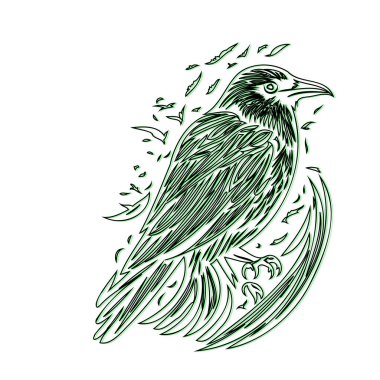 Raven or Crow illustration outline element sketch green clipart