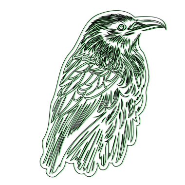 Raven or Crow illustration outline element sketch green clipart