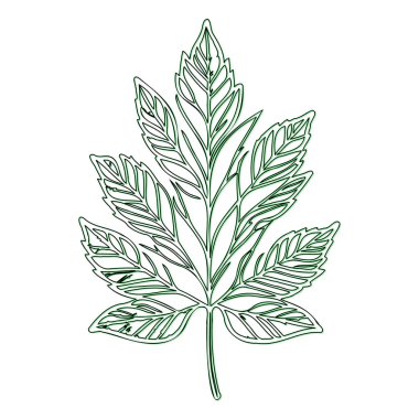 Maple flower outline illustration sketch element green clipart