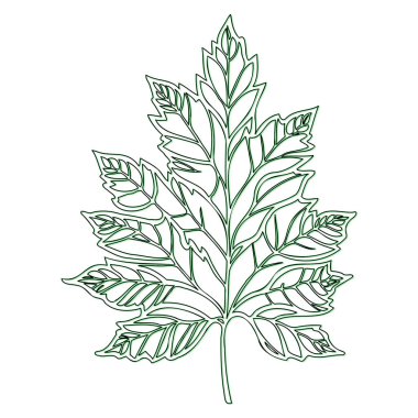 Maple flower outline illustration sketch element green clipart