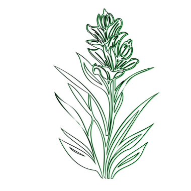 Line art drawing of a flower with green accents clipart