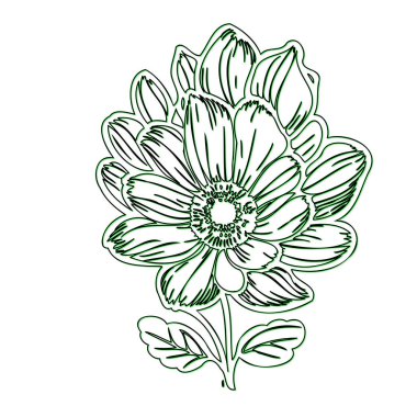 Hand Drawn Flower Outline Illustration clipart