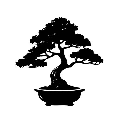 Tenceredeki bonsai ağacının siyah silueti beyaz bir arkaplanda izole edilir..