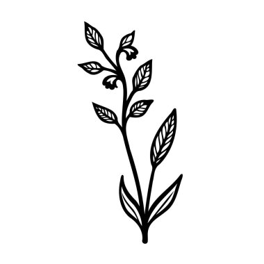 Basit yapraklar ve ince tomurcuklarla süslenmiş bir bitki sapını gösteren minimalist bir tasarım. Monokrom palette oluşturulan bu grafik element doğal zarafeti somutlaştırır..