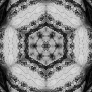 Soyut Bilgisayar Fraktal Tasarımı. Fraktal hiç bitmeyen bir desen. Fraktallar, farklı ölçeklerde kendine benzeyen sonsuz derecede karmaşık kalıplardır. Cep telefonu duvar kağıdı için harika.