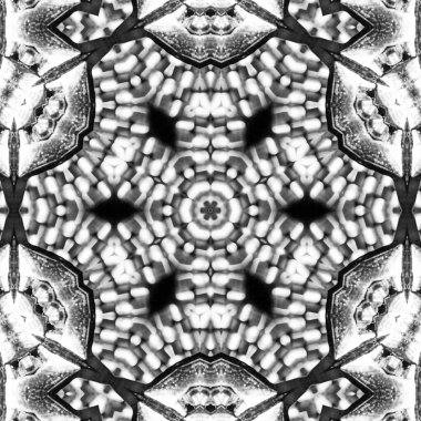 Soyut Bilgisayar Fraktal Tasarımı. Fraktal hiç bitmeyen bir desen. Fraktallar, farklı ölçeklerde kendine benzeyen sonsuz derecede karmaşık kalıplardır. Cep telefonu duvar kağıdı için harika.