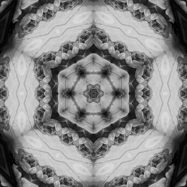 Soyut Bilgisayar Fraktal Tasarımı. Fraktal hiç bitmeyen bir desen. Fraktallar, farklı ölçeklerde kendine benzeyen sonsuz derecede karmaşık kalıplardır. Cep telefonu duvar kağıdı için harika.