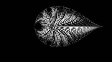 dijital soyut fraktal arkaplan bilgisayarda siyah ve beyaz olarak oluşturuldu.