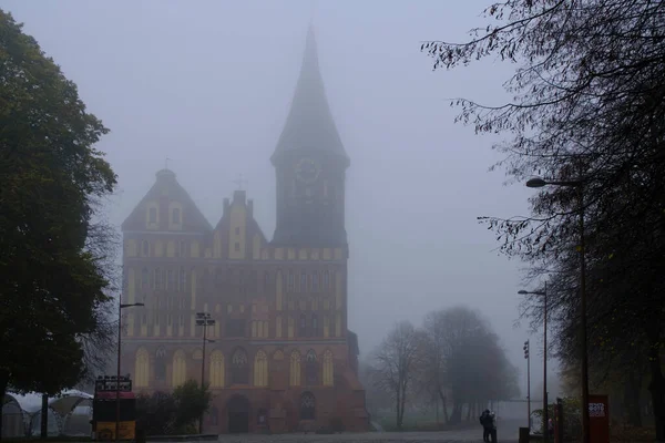 stock image Russia, Kaliningrad, October 27, 2022, Kaliningrad Cathedral, drowning in fog early morning