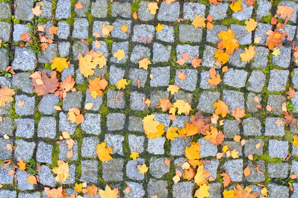 Alter Steinpflasterstein Mit Grünem Moos Bewachsen Und Mit Gelbem Herbstlaub — Stockfoto