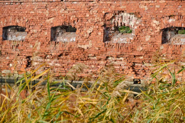 Stare Luki Rozpadającej Się Ceglanej Ścianie — Zdjęcie stockowe