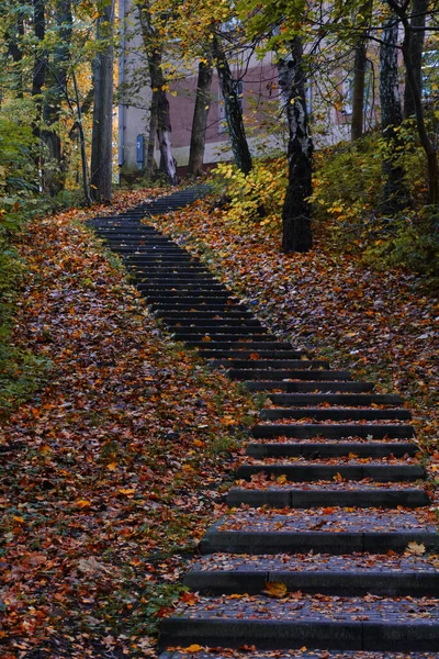 Escadas Que Levam Edifício Residencial Partir Floresta Outono — Fotografia de Stock