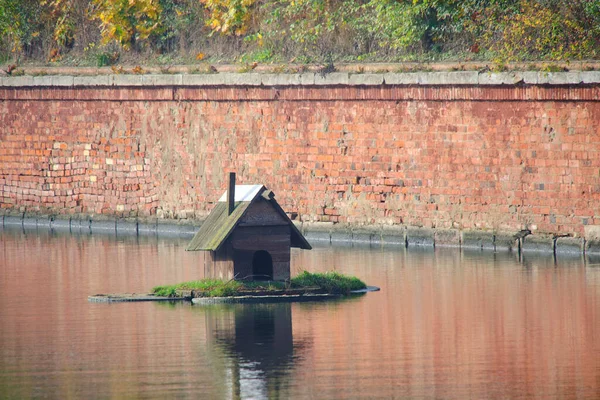 Dom Dla Ptactwa Wodnego Pływa Środkowe Jezioro — Zdjęcie stockowe