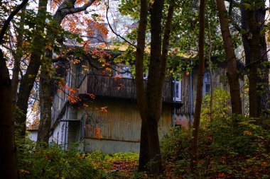 Sonbahar ormanı, içinde eski bir ev var.