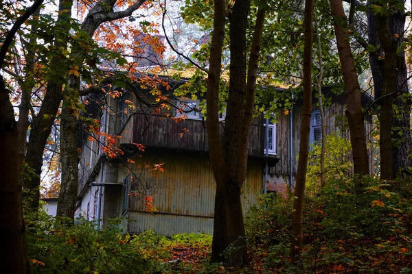 Floresta Outono Entre Qual Uma Velha Casa — Fotografia de Stock