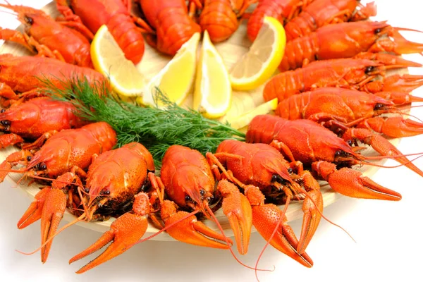Crayfish Cozido Rio Vermelho Redondo Placa Madeira Fundo Branco Com — Fotografia de Stock