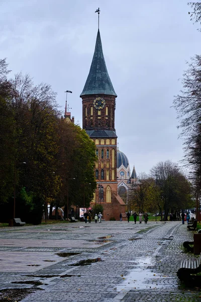 Rosja Kaliningrad Października 2022 Katedra Kaliningradzka Późną Jesienią — Zdjęcie stockowe