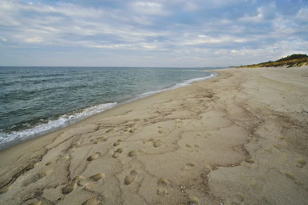 Αμμώδης Παραλία Βαλτική Θάλασσα Curonian Φτύσιμο — Φωτογραφία Αρχείου