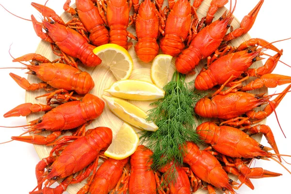 Crayfish Cozido Rio Vermelho Redondo Placa Madeira Fundo Branco Com — Fotografia de Stock