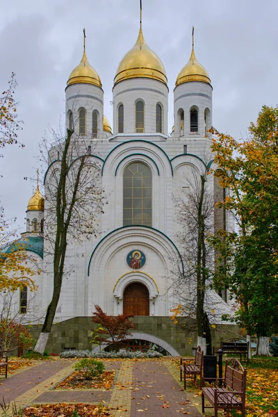 Rússia Kaliningrado Outubro 2022 Catedral Cristo Salvador Igreja Ortodoxa Igreja — Fotografia de Stock