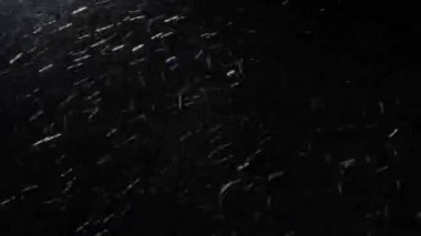 Sokak lambasının ışığında güçlü kar fırtınası.