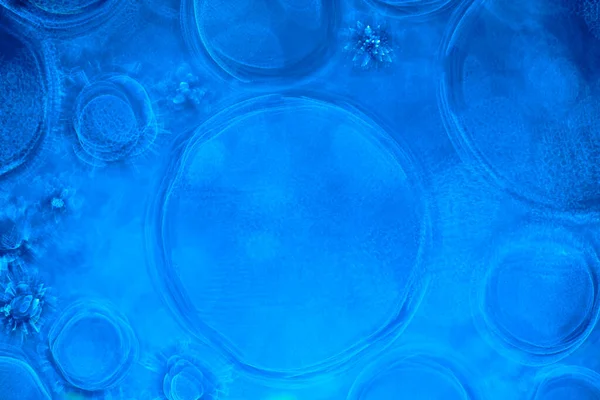 Abstract Blue Background Macro Magnification Oil Water Circles — Stock Photo, Image