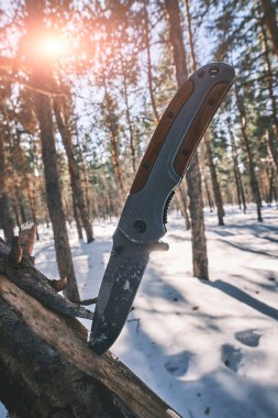 Hayatta kalmak ve yürüyüş yapmak için katlanan taktik bıçağı çam ormanında devrilmiş bir ağacın gövdesine sıkışmış.