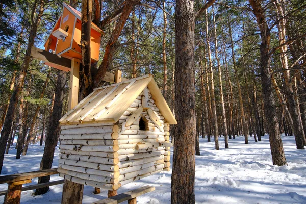 Birdhouse Para Pássaros Esquilos Floresta Pinheiros Inverno — Fotografia de Stock