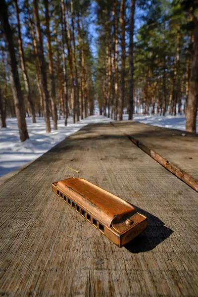 Vecchia Armonica Retrò Sul Tavolo Legno Nella Foresta Invernale — Foto Stock