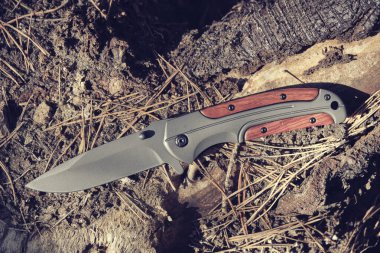 Ağaç saplı katlanmış bıçak, devrilmiş ağaçta yatıyor.