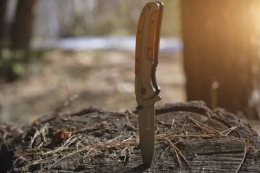 Hayatta kalmak için katlanan bıçak ağaç kütüğünde sıkışmış. Güneş ışığından oluşan bir çam ormanının arka planında.