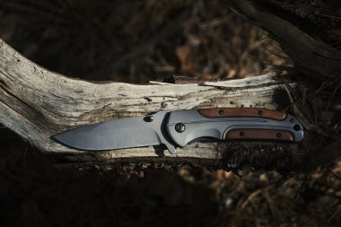 Ağaç saplı katlanmış bıçak, devrilmiş ağaçta yatıyor.