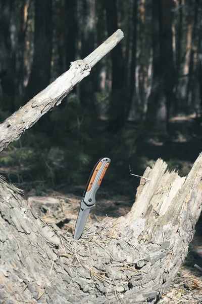 Складной Нож Выживания Застрял Стволе Упавшего Дерева Фоне Леса — стоковое фото