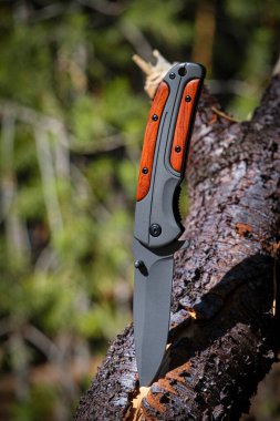 Hayatta kalmak için katlanan bıçak arka plandaki ormana karşı düşen bir ağaç gövdesinde sıkıştı.