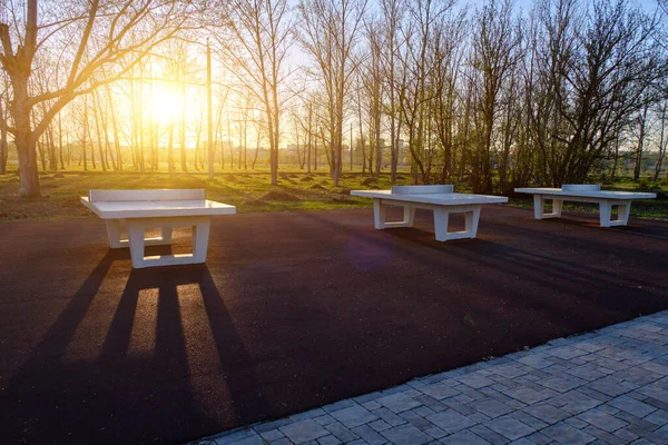 Tennistafels Openbaar Park Tegen Zonsondergang — Stockfoto